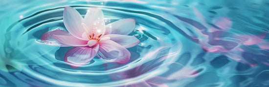 Eaux florales BIO Eaux florales BIO