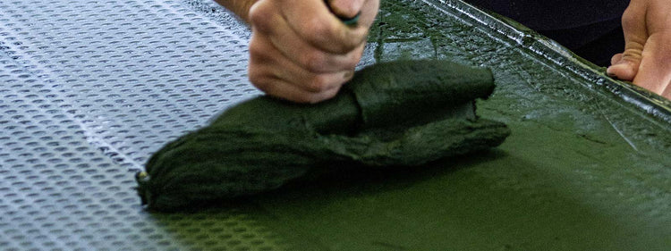 Histoire de la ferme artisanale Spiruline des Îles d’Or