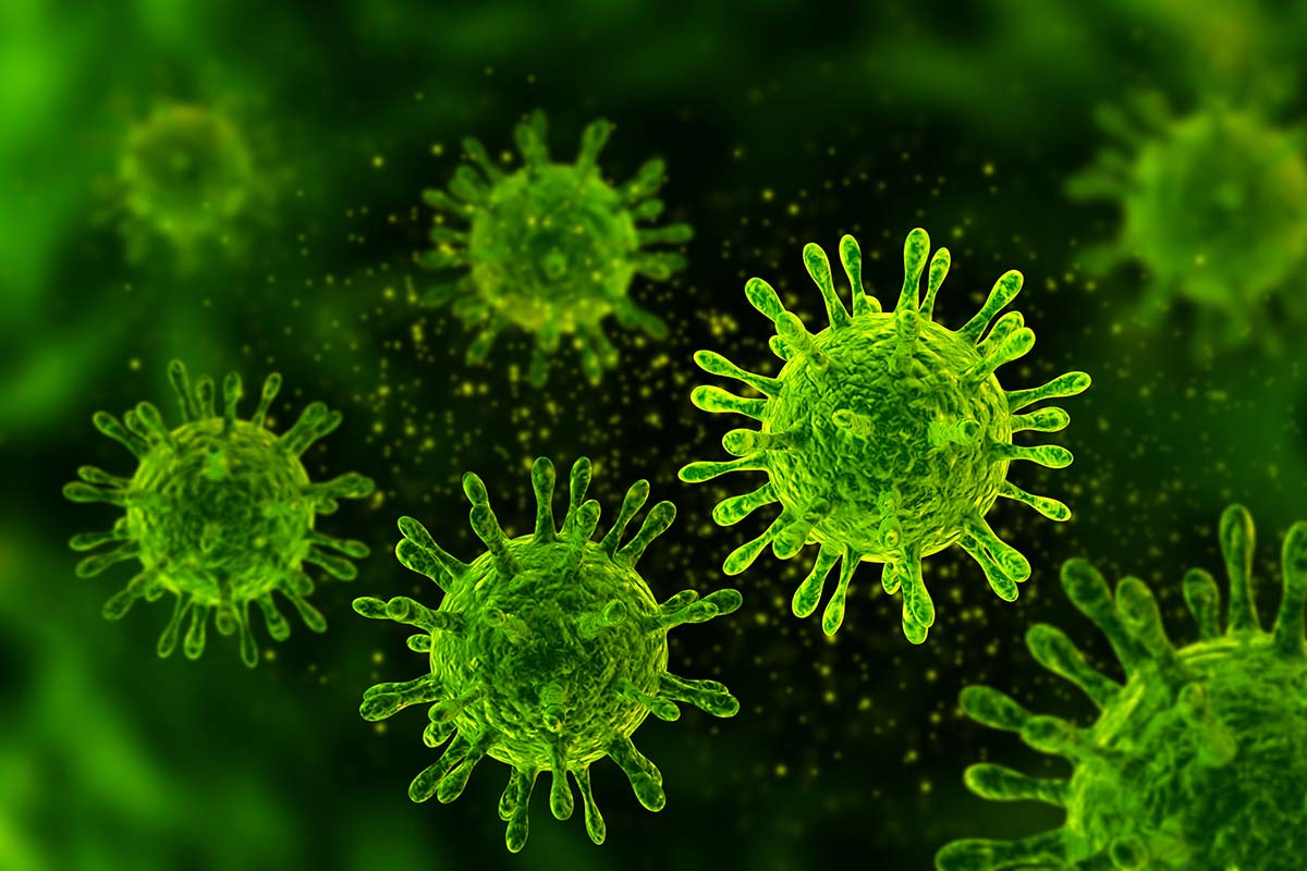 Spiruline & immunité : comment booster ses défenses naturelles ?