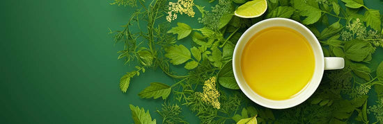 Stévia Bio / Thé & Infusion Bio